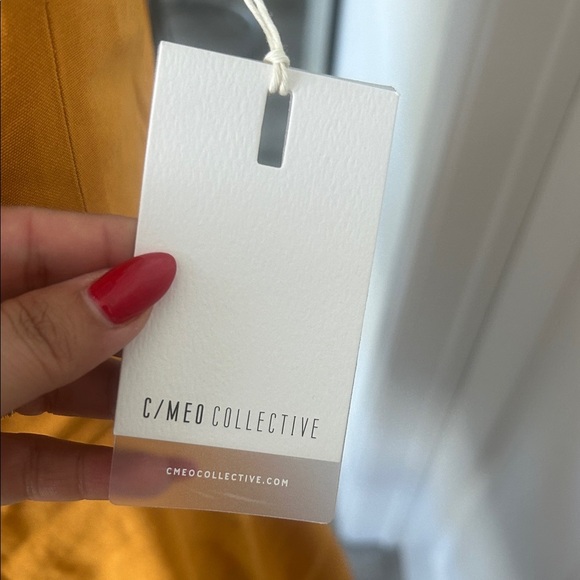 C/MEO Collective Meaningful Mustard Mini Dress - Picture 3 of 9